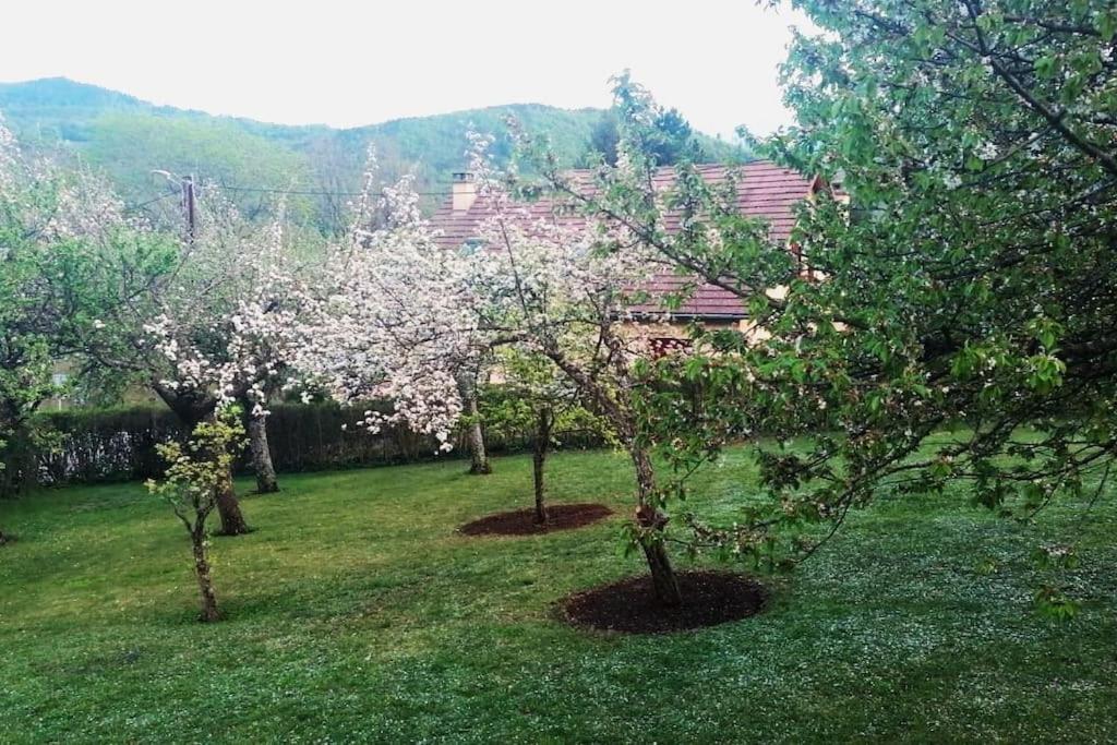 Maison De Montagne Saint Firmin  Ngoại thất bức ảnh